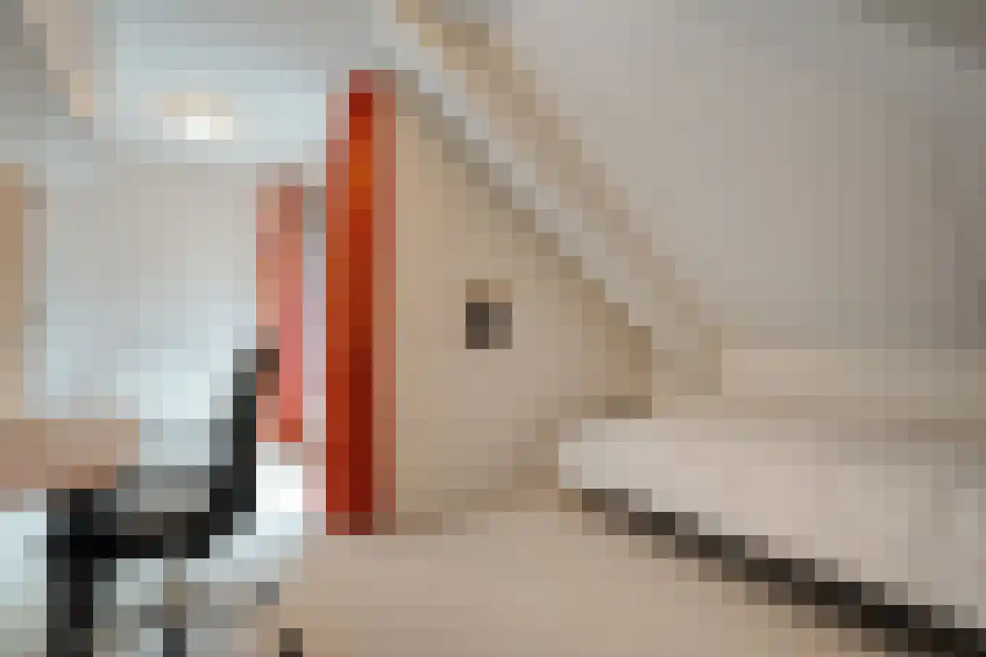 Witte de Withlaan 9 Nijverdal thumbnail 35
