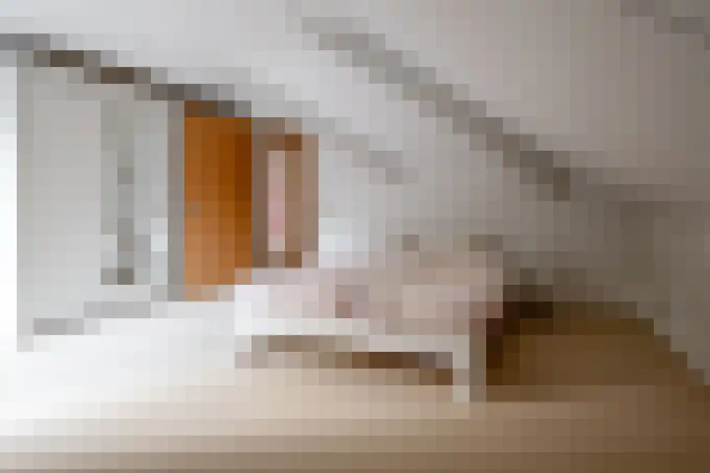 Witte de Withlaan 9 Nijverdal thumbnail 38