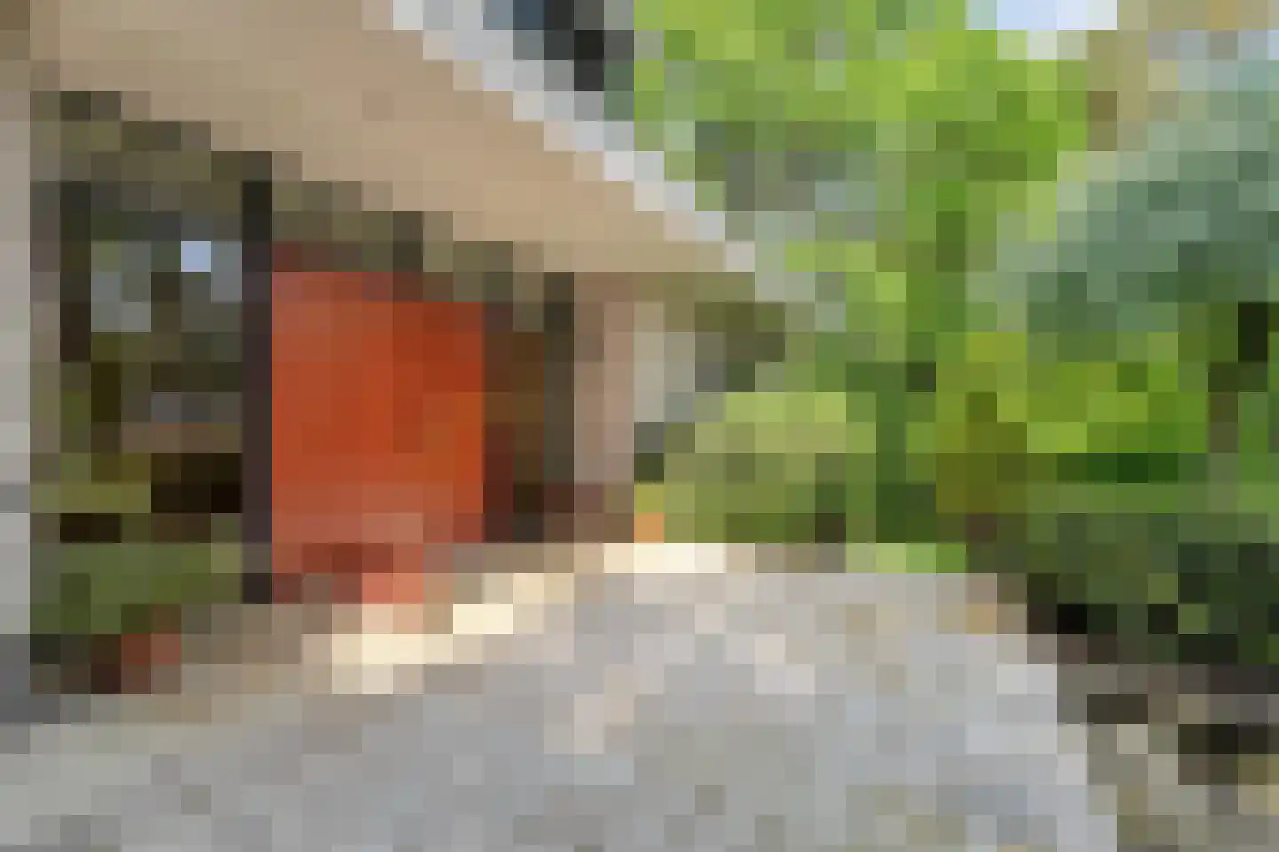 Witte de Withlaan 9 Nijverdal thumbnail 4