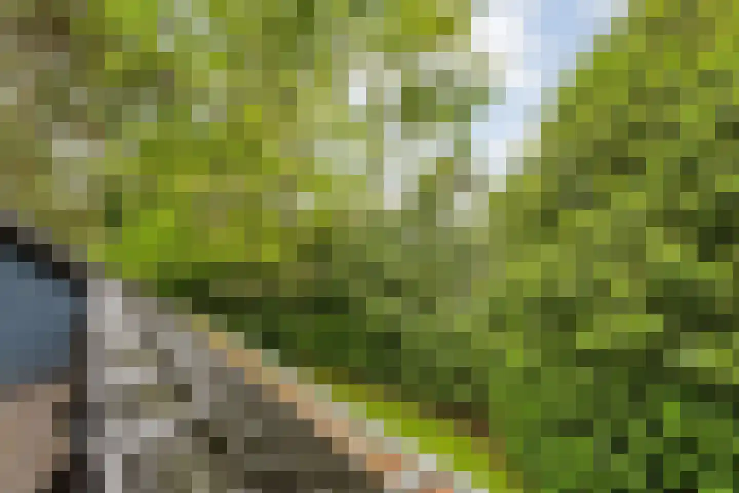 Witte de Withlaan 9 Nijverdal thumbnail 40