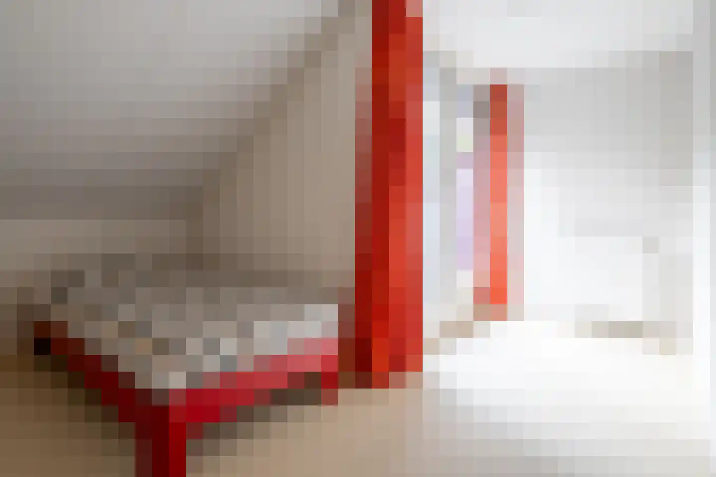 Witte de Withlaan 9 Nijverdal thumbnail 43