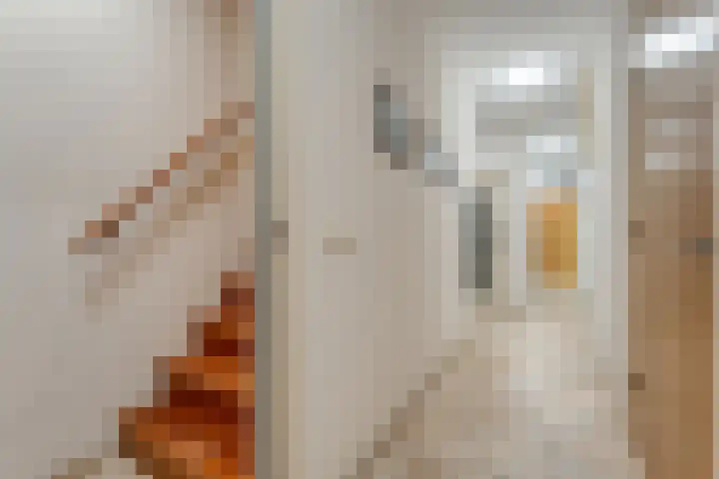 Witte de Withlaan 9 Nijverdal thumbnail 46