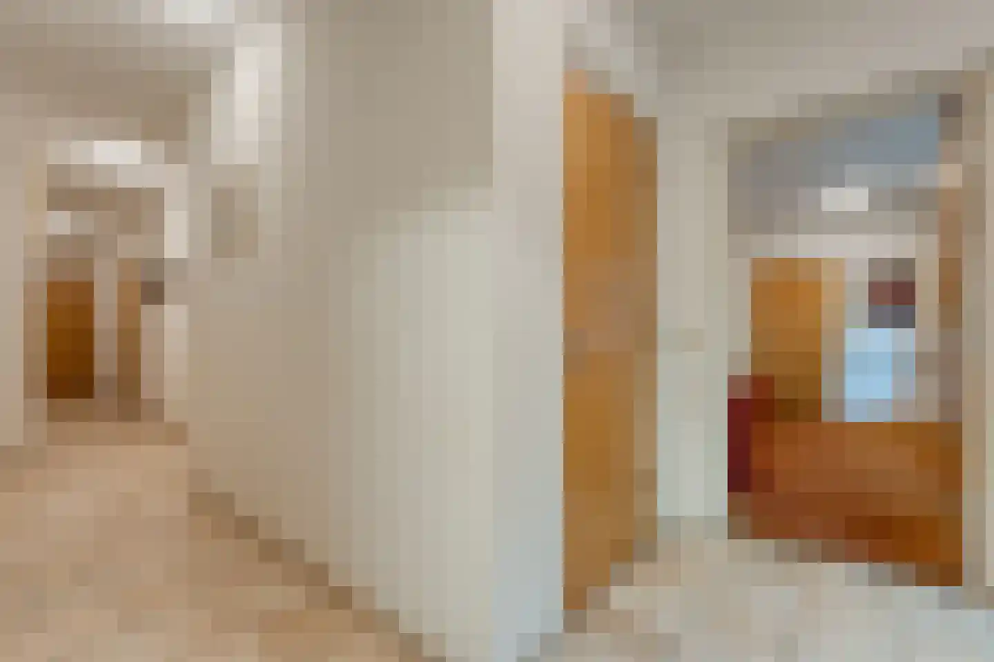 Witte de Withlaan 9 Nijverdal thumbnail 47