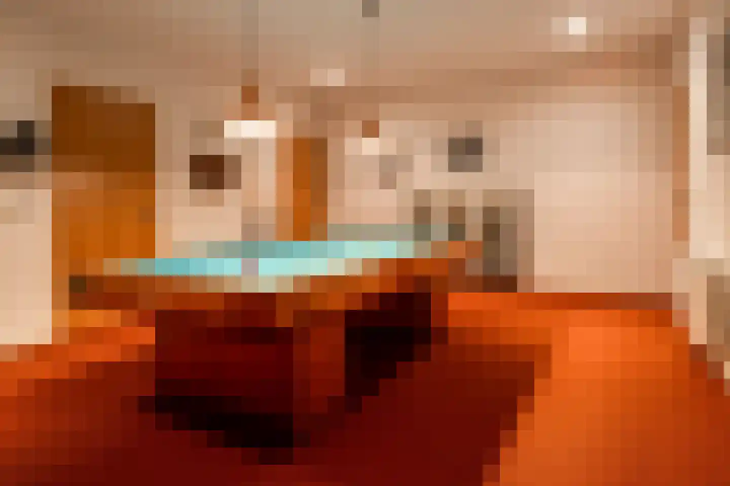 Witte de Withlaan 9 Nijverdal thumbnail 49
