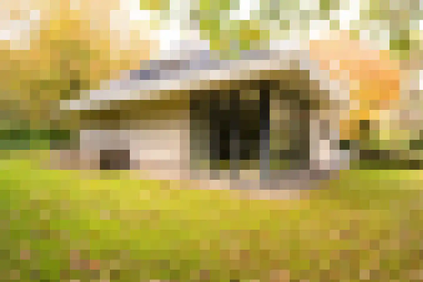 Witte de Withlaan 9 Nijverdal thumbnail 55
