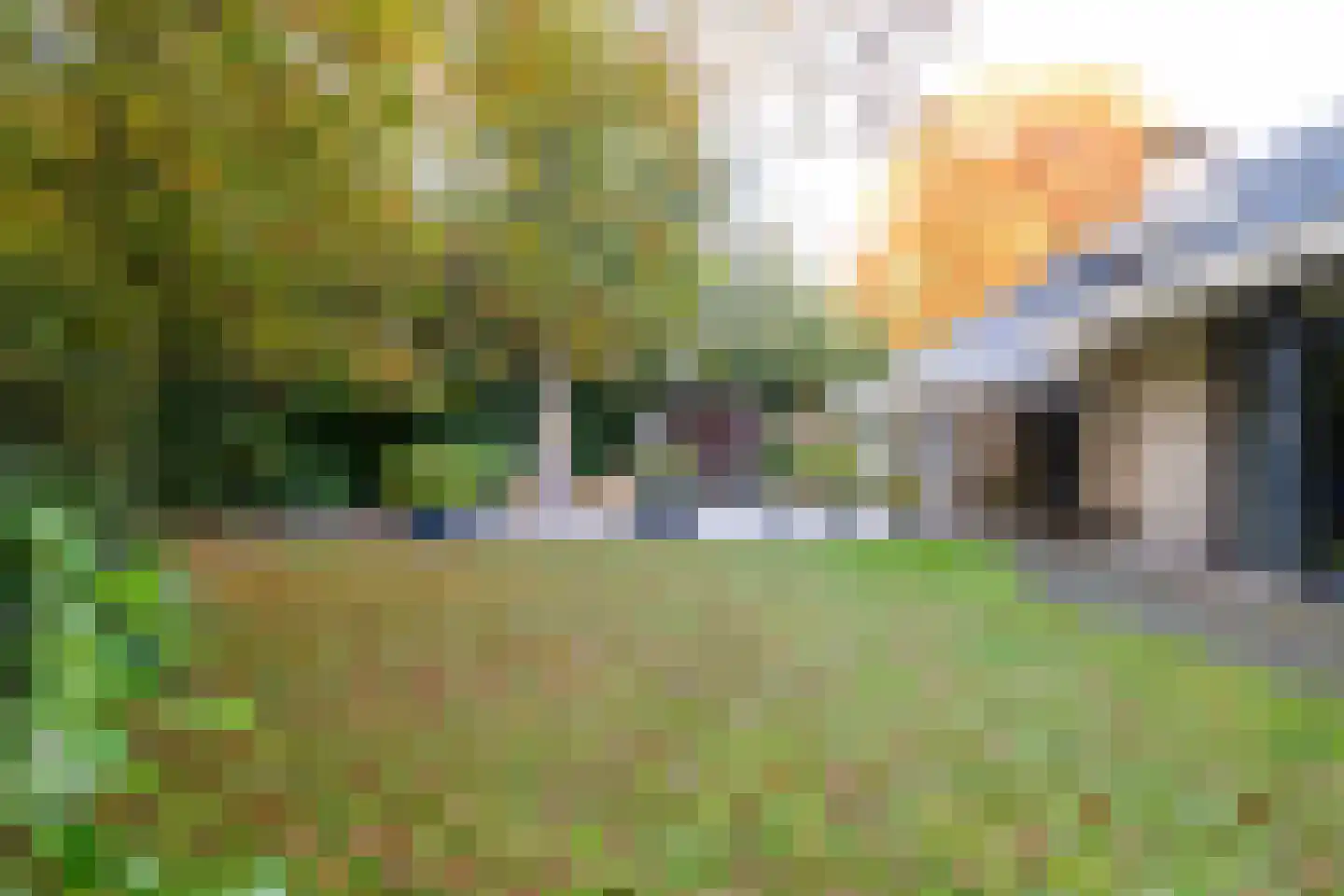 Witte de Withlaan 9 Nijverdal thumbnail 58