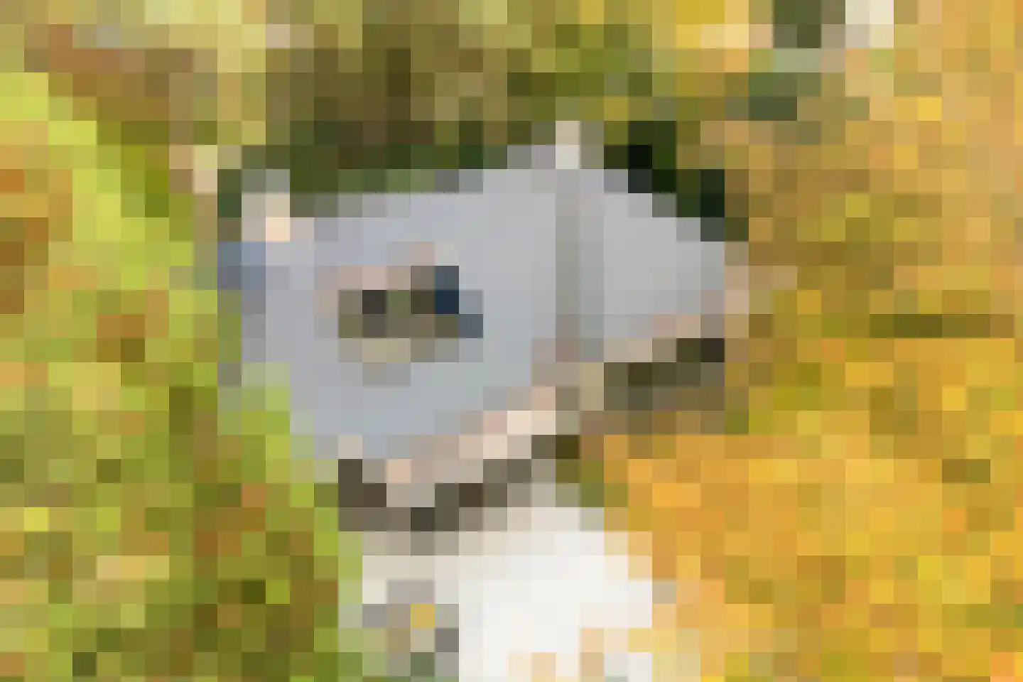 Witte de Withlaan 9 Nijverdal thumbnail 60