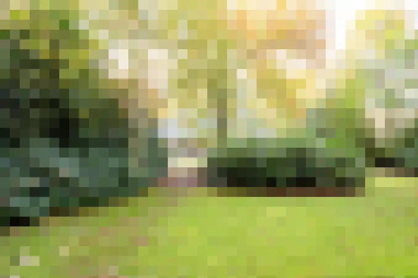 Witte de Withlaan 9 Nijverdal thumbnail 62