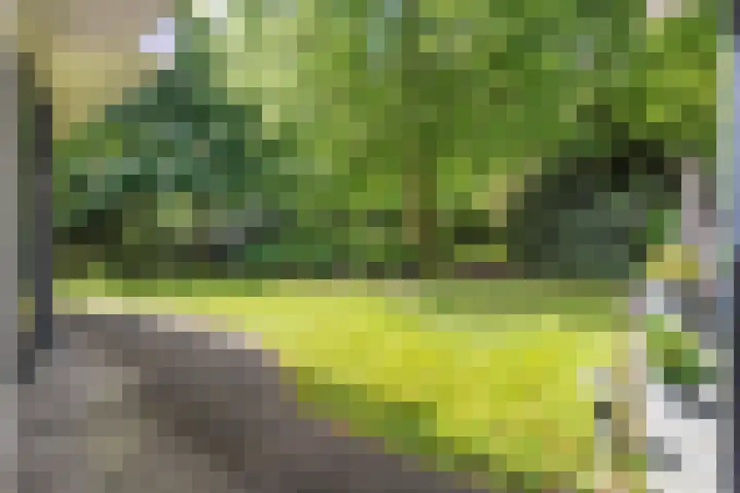Witte de Withlaan 9 Nijverdal thumbnail 63