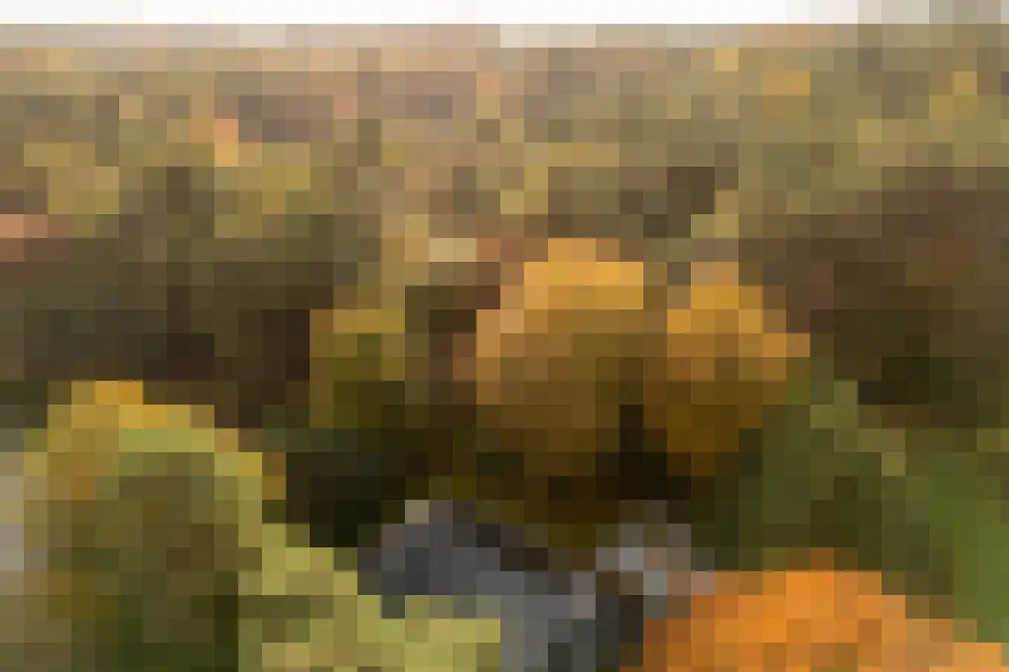 Witte de Withlaan 9 Nijverdal thumbnail 63