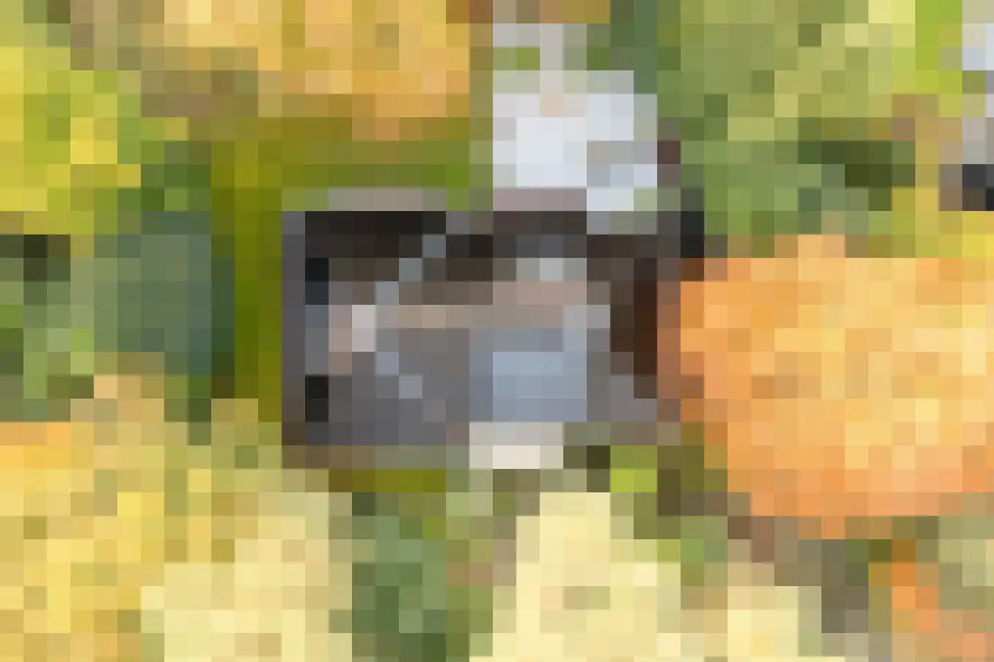 Witte de Withlaan 9 Nijverdal thumbnail 64