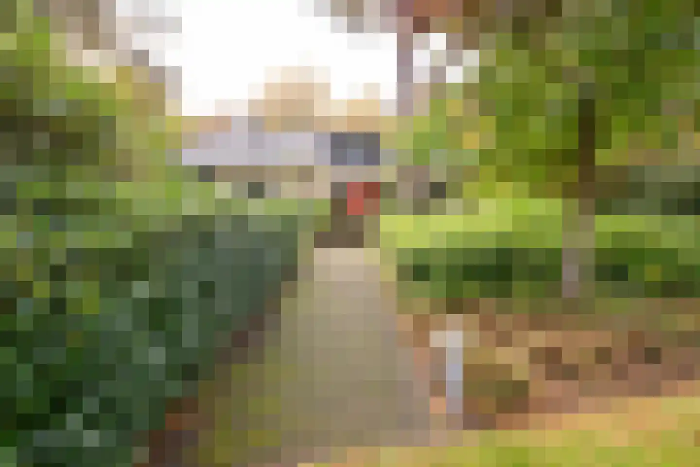 Witte de Withlaan 9 Nijverdal thumbnail 7