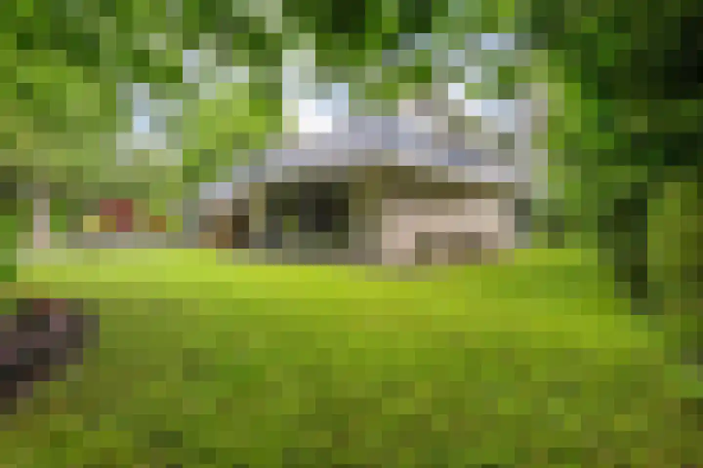 Witte de Withlaan 9 Nijverdal thumbnail 72