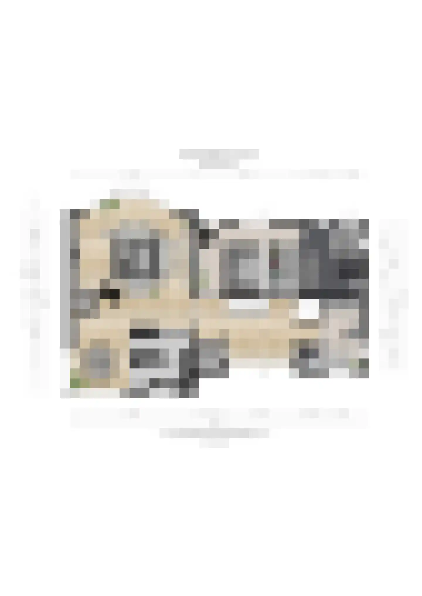 Witte de Withlaan 9 Nijverdal thumbnail 72