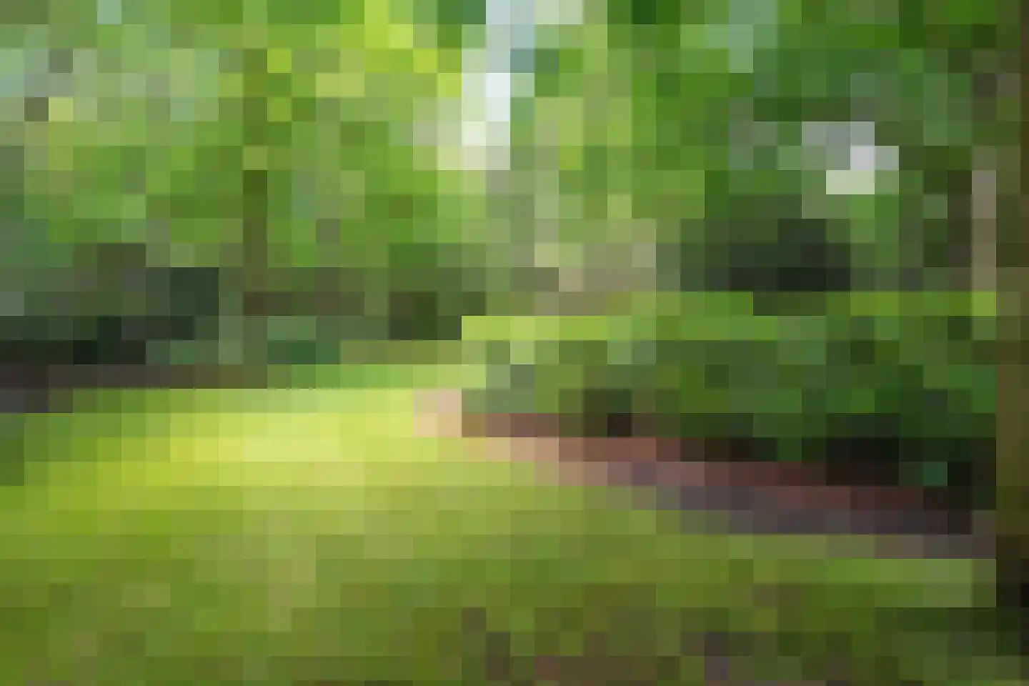 Witte de Withlaan 9 Nijverdal thumbnail 73