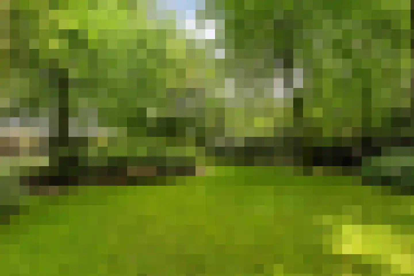 Witte de Withlaan 9 Nijverdal thumbnail 74