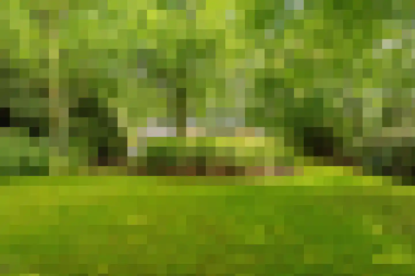 Witte de Withlaan 9 Nijverdal thumbnail 75