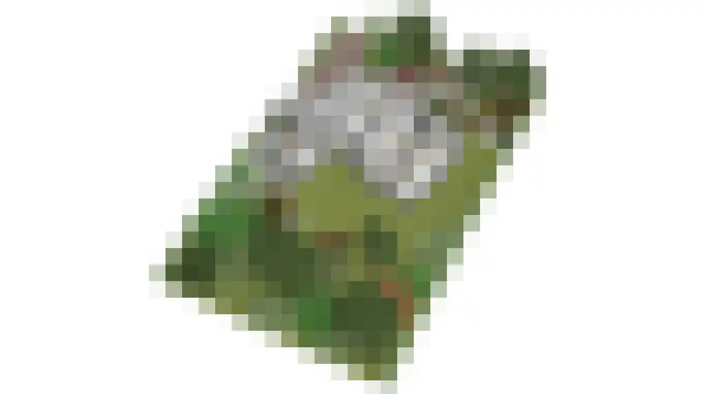 Witte de Withlaan 9 Nijverdal thumbnail 75