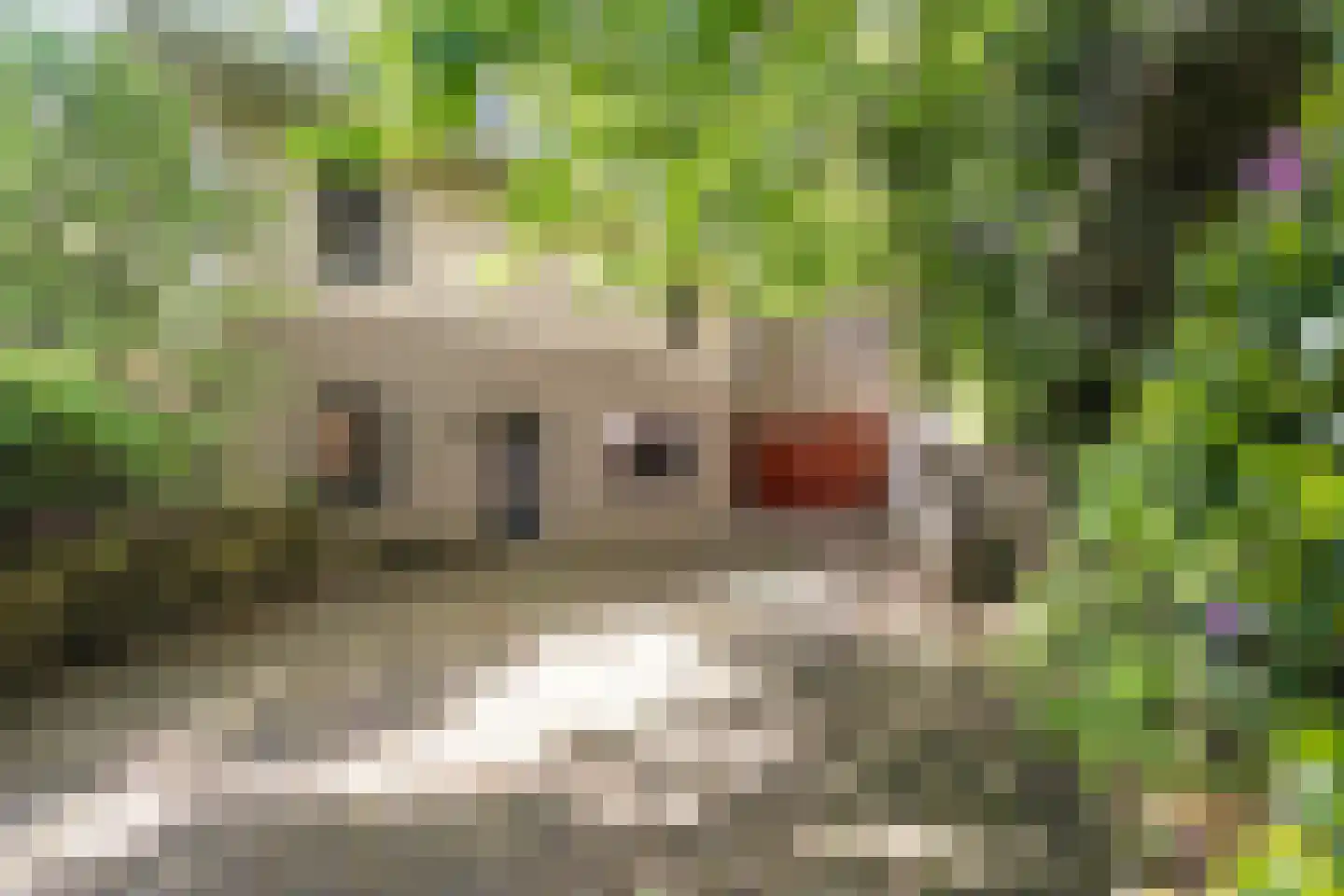 Witte de Withlaan 9 Nijverdal thumbnail 77