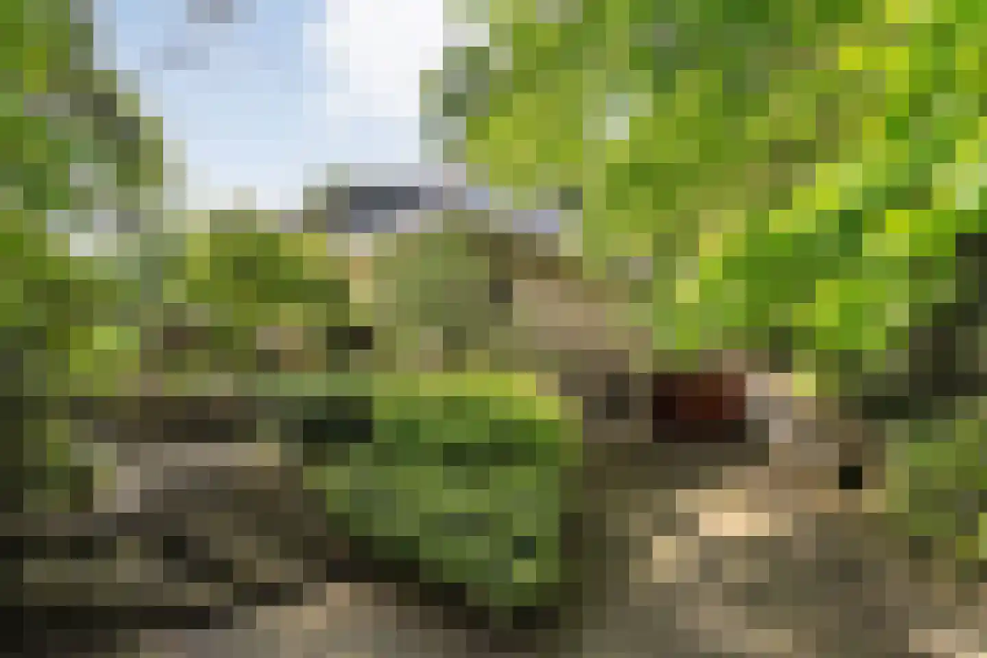 Witte de Withlaan 9 Nijverdal thumbnail 78