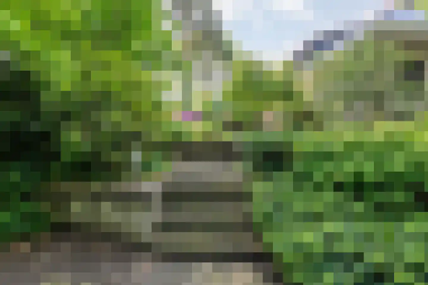 Witte de Withlaan 9 Nijverdal thumbnail 79