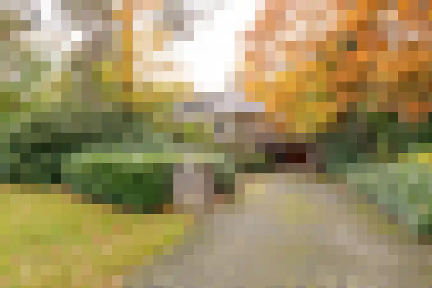 Witte de Withlaan 9 Nijverdal thumbnail 8