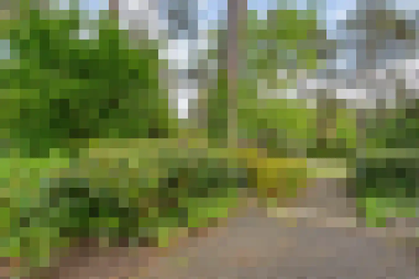 Witte de Withlaan 9 Nijverdal thumbnail 80