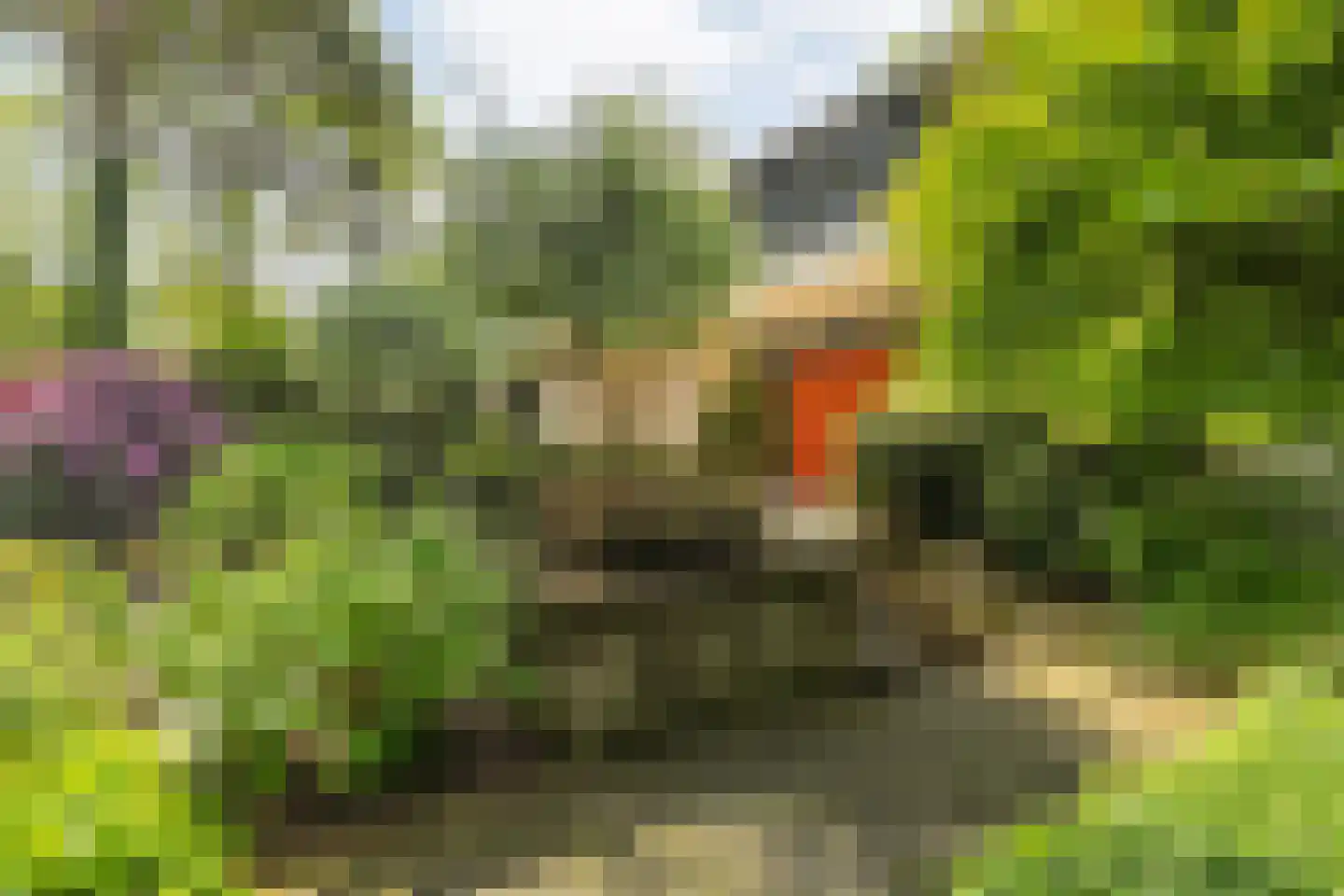 Witte de Withlaan 9 Nijverdal thumbnail 81