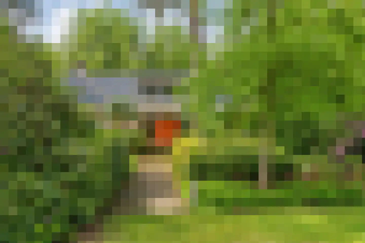 Witte de Withlaan 9 Nijverdal thumbnail 82