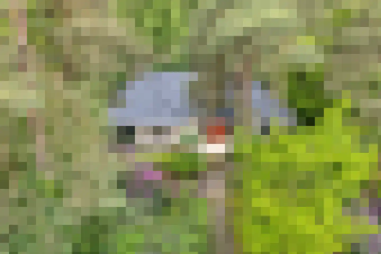 Witte de Withlaan 9 Nijverdal thumbnail 83