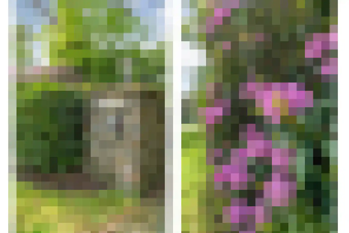 Witte de Withlaan 9 Nijverdal thumbnail 84