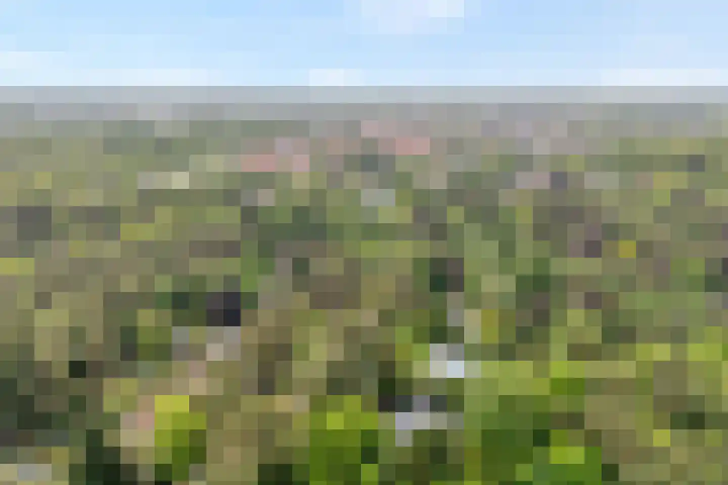 Witte de Withlaan 9 Nijverdal thumbnail 87