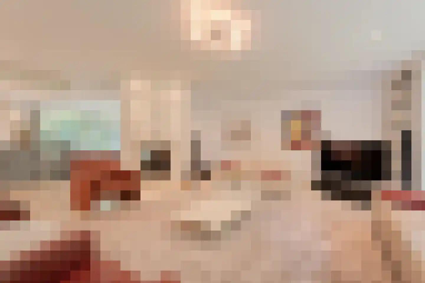Witte de Withlaan 9 Nijverdal thumbnail 9