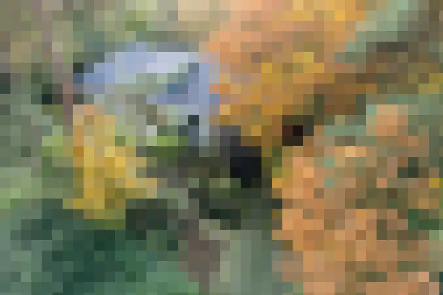 Witte de Withlaan 9 Nijverdal thumbnail 9