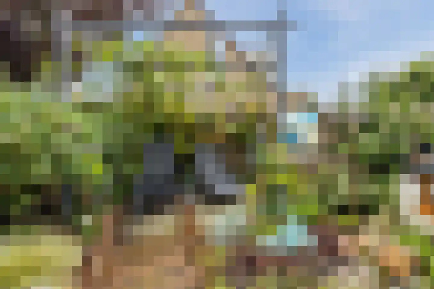 Witte de Withplein 10 Hellevoetsluis thumbnail 31