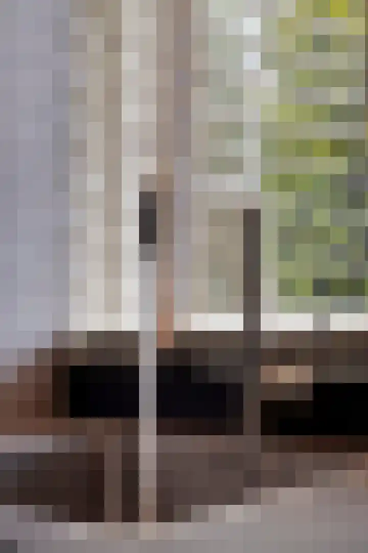 Witte de Withplein 28 Hellevoetsluis thumbnail 9