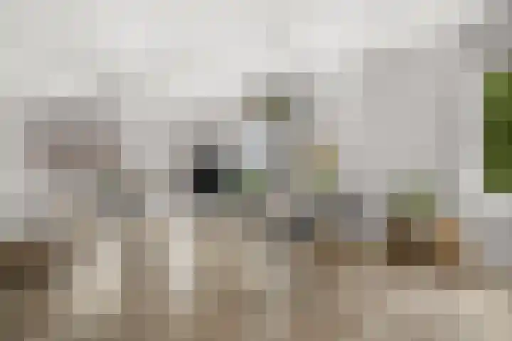 Witte de Withstraat 1 S Amsterdam thumbnail 15