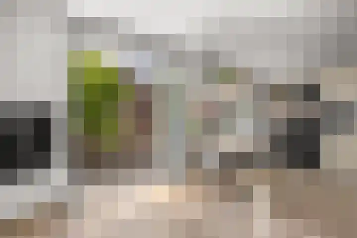 Witte de Withstraat 1 S Amsterdam thumbnail 16