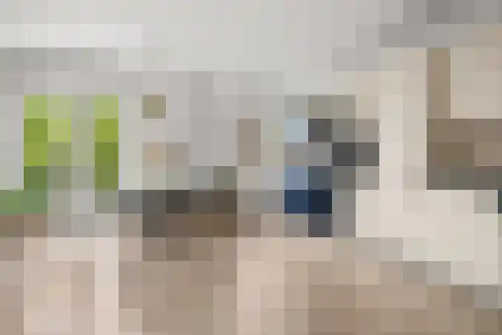 Witte de Withstraat 1 S Amsterdam thumbnail 21
