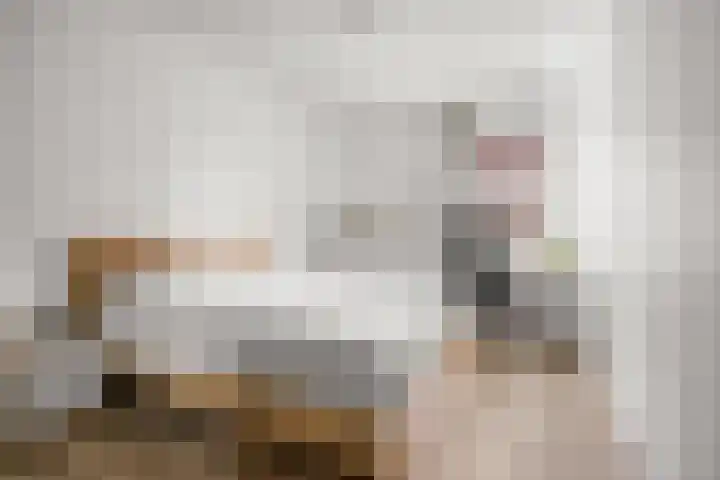 Witte de Withstraat 1 S Amsterdam thumbnail 26