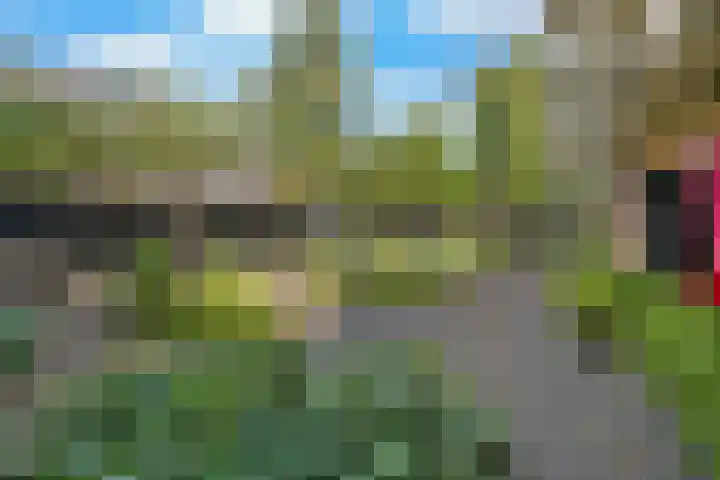 Witte de Withstraat 1 S Amsterdam thumbnail 34