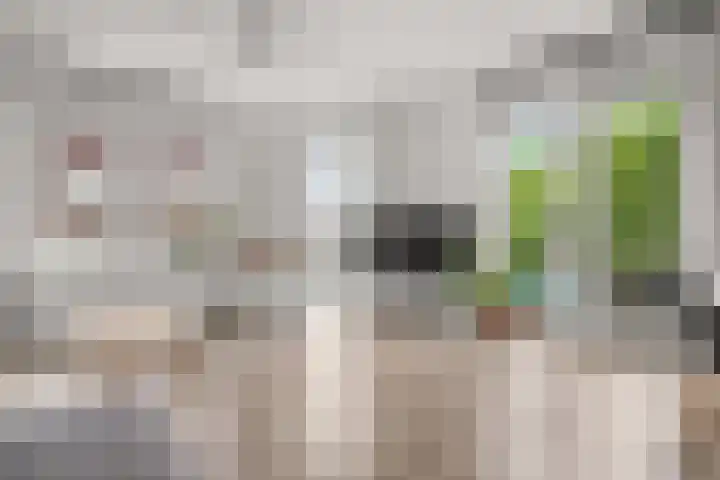 Witte de Withstraat 1 S Amsterdam thumbnail 9