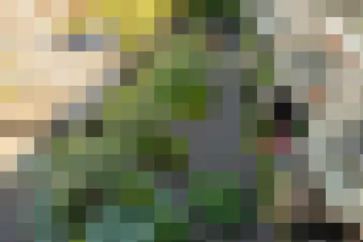 Witte de Withstraat 1 V Amsterdam thumbnail 24