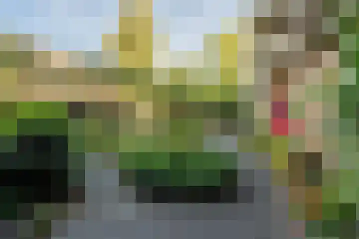 Witte de Withstraat 1 V Amsterdam thumbnail 25