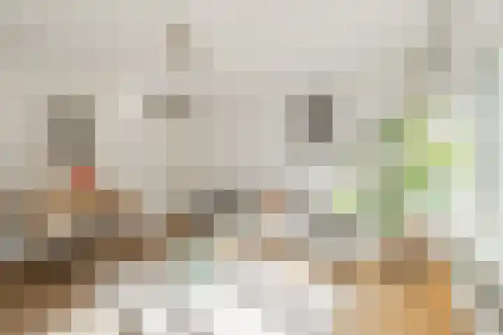 Witte de Withstraat 1 V Amsterdam thumbnail 5