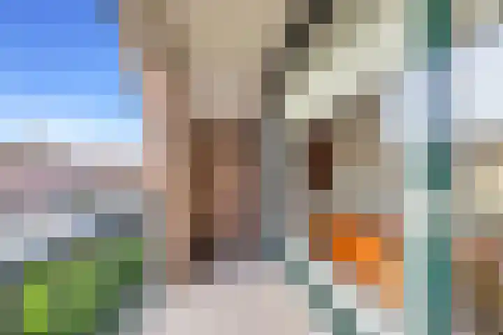 Witte de Withstraat 10 a Brielle thumbnail 19