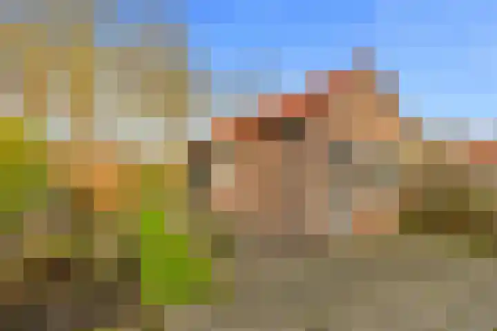 Witte de Withstraat 10 a Brielle thumbnail 24