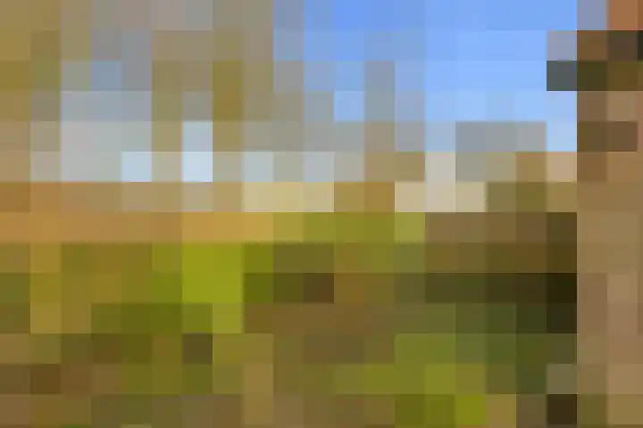 Witte de Withstraat 10 a Brielle thumbnail 26