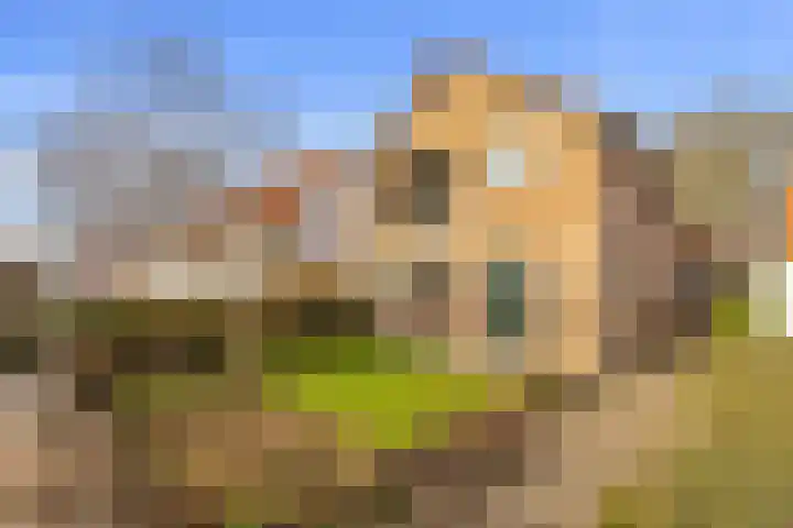 Witte de Withstraat 10 a Brielle thumbnail 32