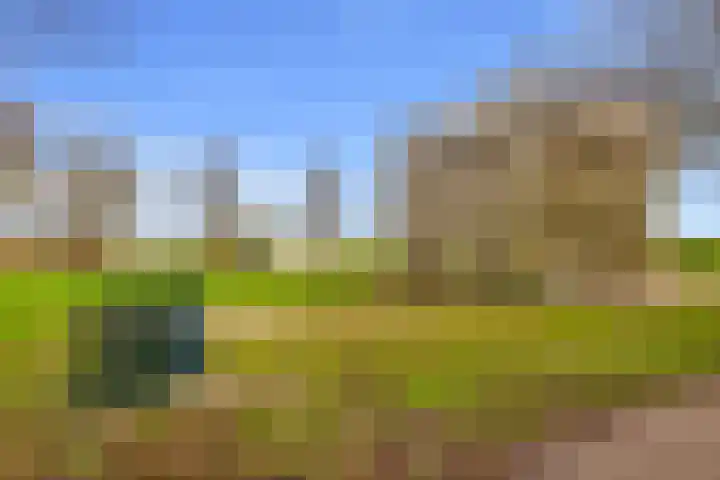 Witte de Withstraat 10 a Brielle thumbnail 34